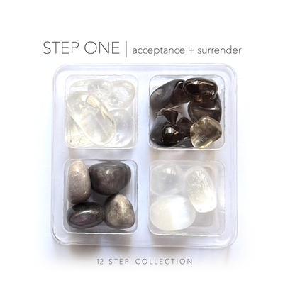 12 STEP COLLECTION sobriety recovery addiction crystal sets