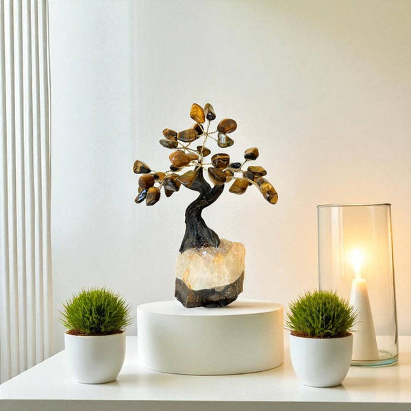 Feng Shui Money Tree - Tigers Eye