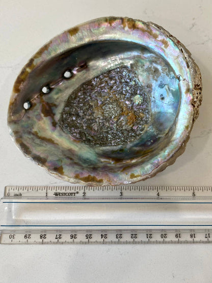 Abalone Shell Smudge Bowls (Medium Shallow)