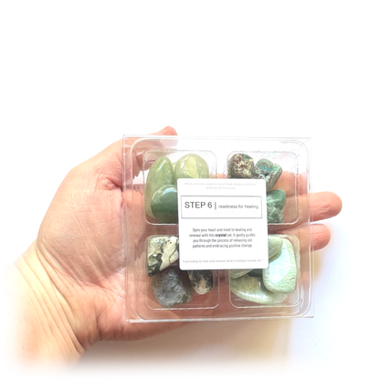 12 STEP COLLECTION sobriety recovery addiction crystal sets