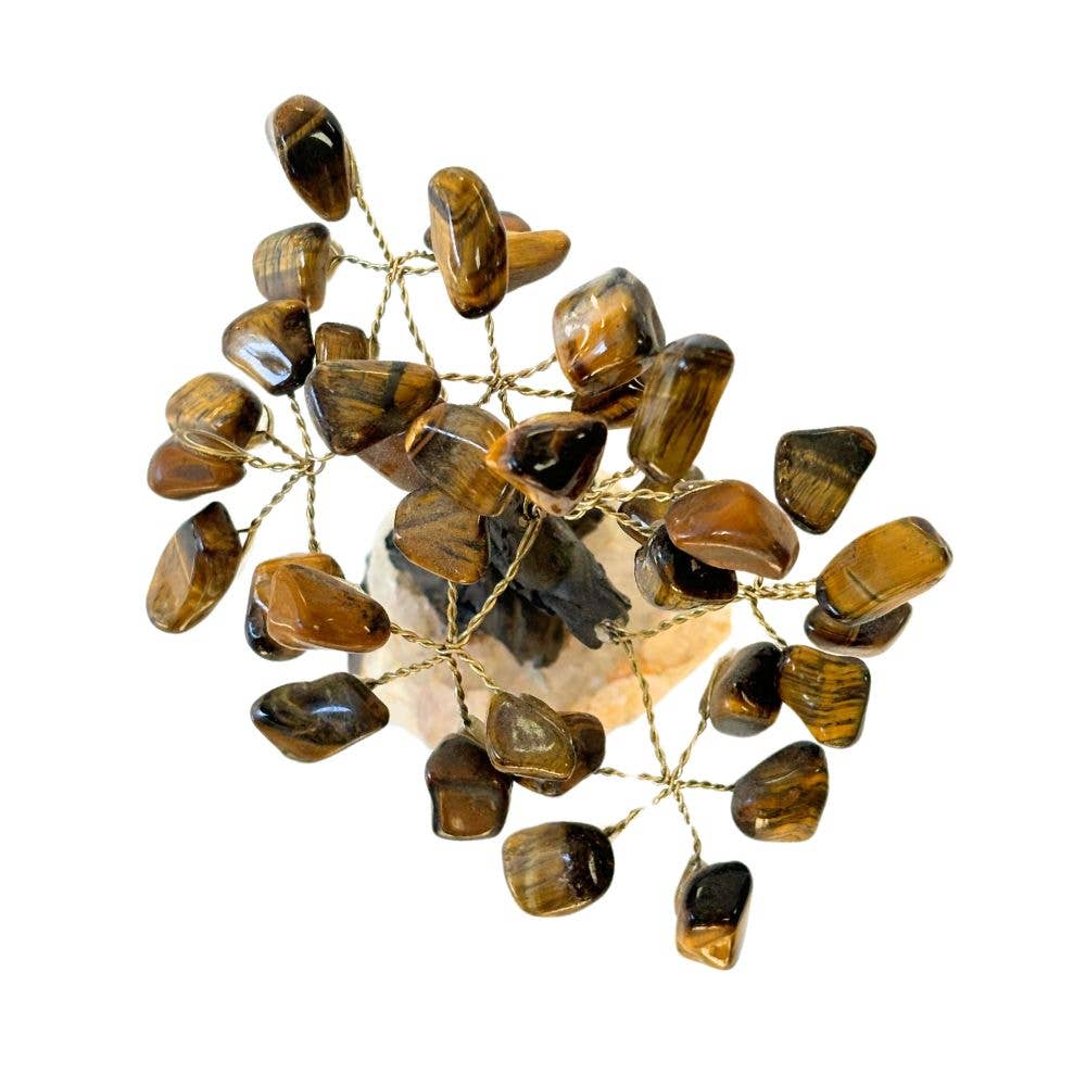 Feng Shui Money Tree - Tigers Eye