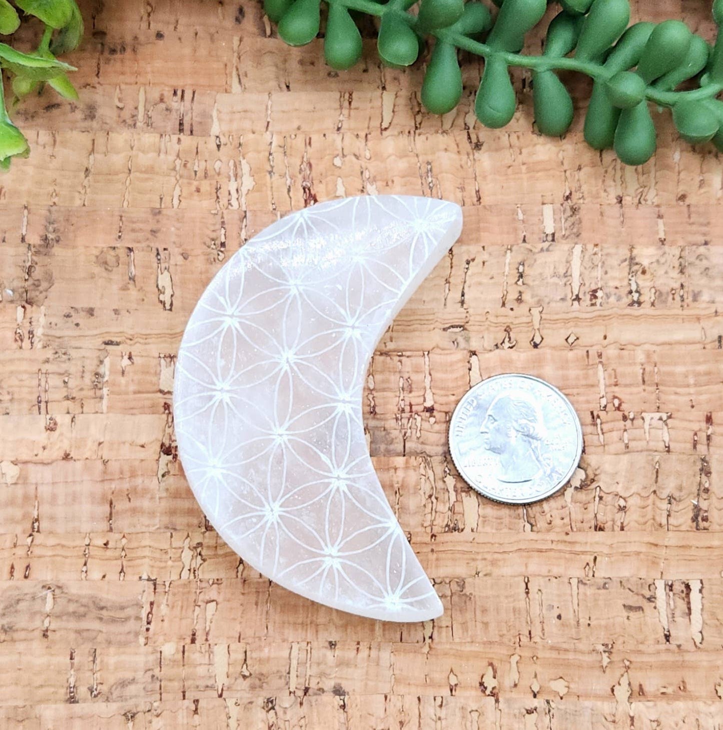 Selenite Moon Charging Plate w/Flower of Life - Approx. 7cm