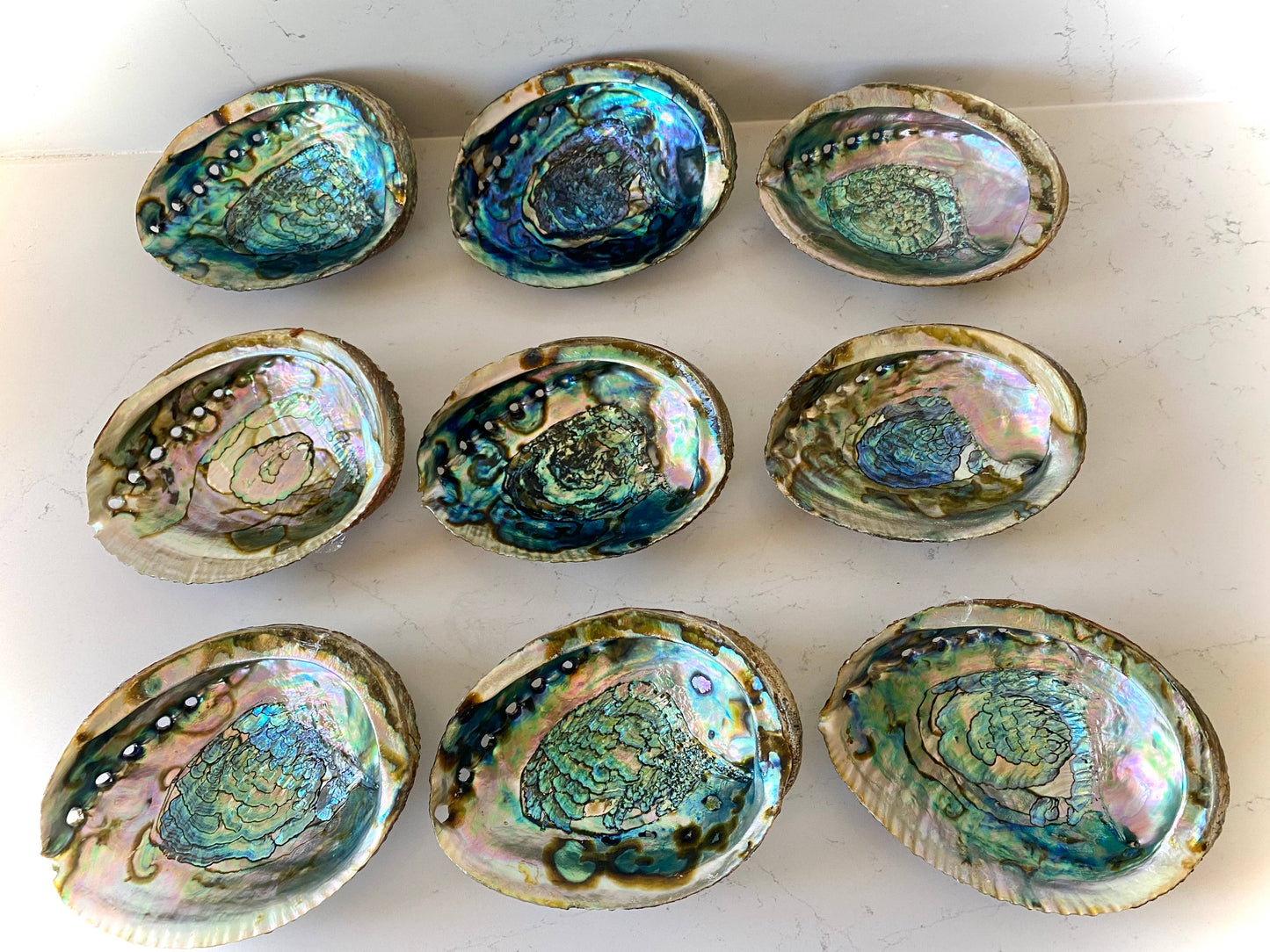 Abalone Shell Smudge Bowls (Medium Shallow)