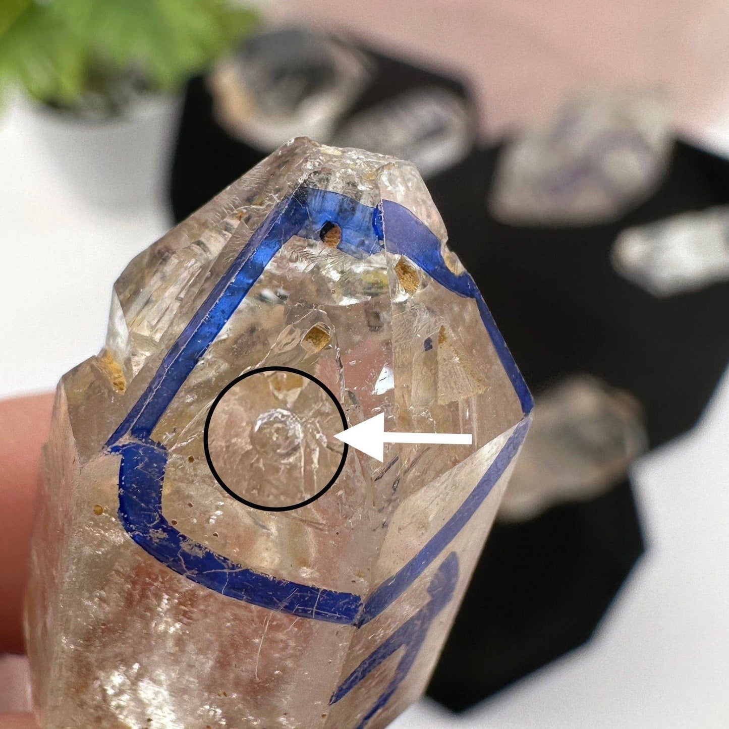 Crystal Enhydro Quartz with Moving Water Inclusion