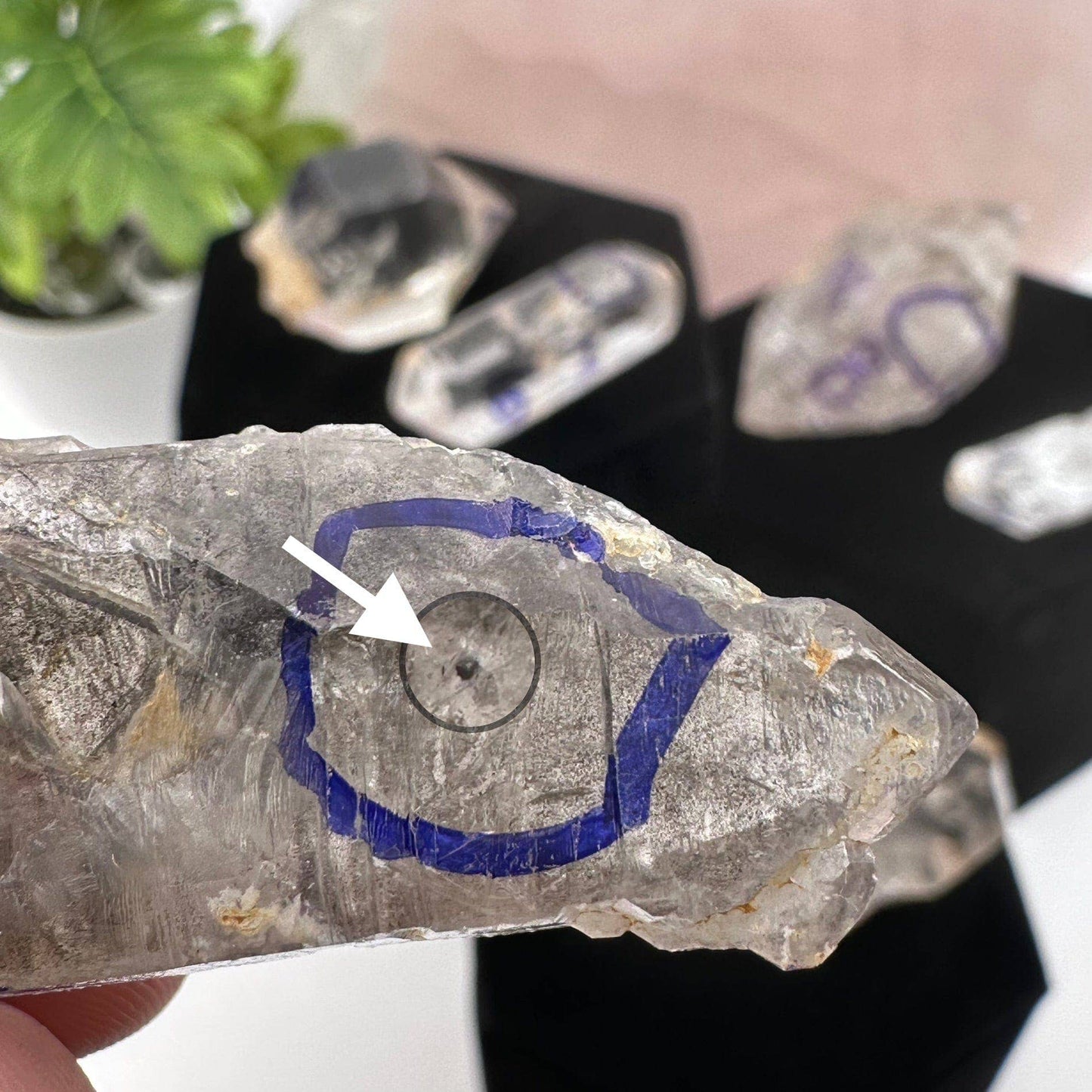 Crystal Enhydro Quartz with Moving Water Inclusion