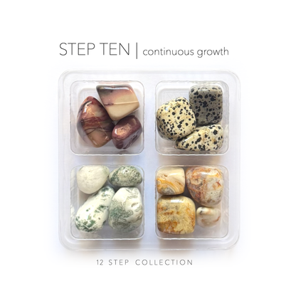 12 STEP COLLECTION sobriety recovery addiction crystal sets