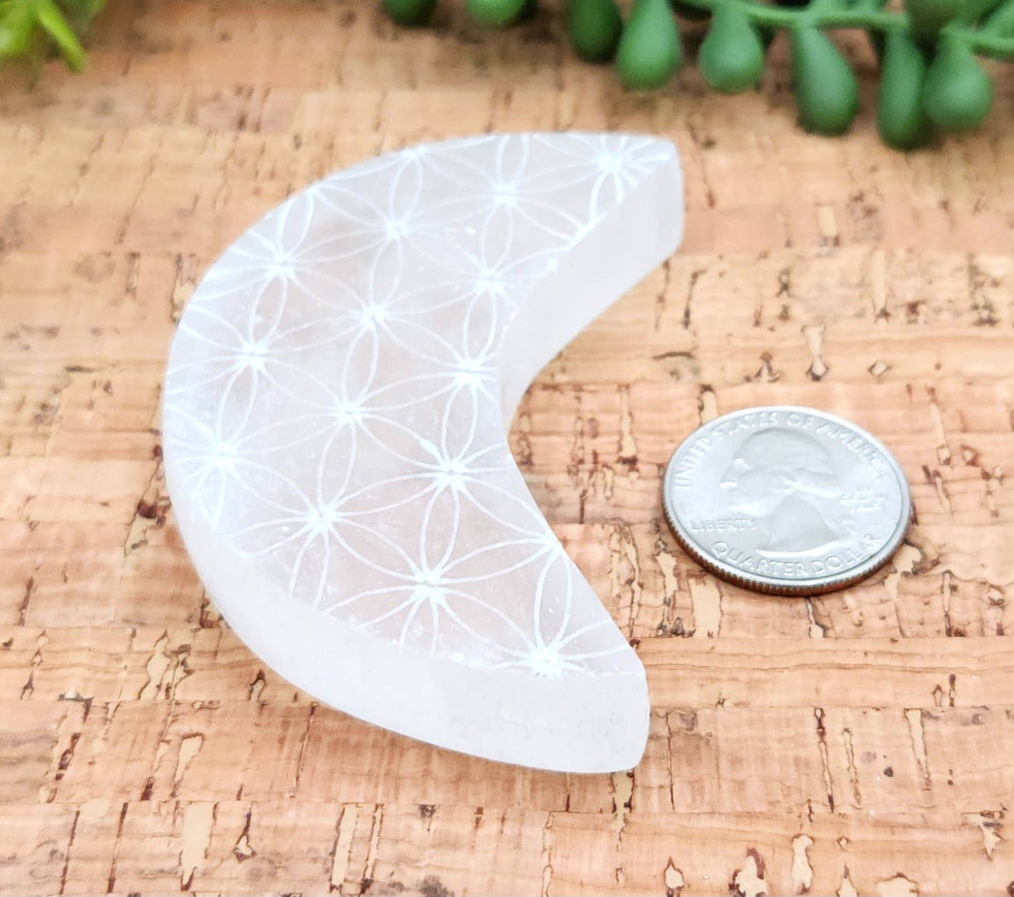 Selenite Moon Charging Plate w/Flower of Life - Approx. 7cm